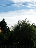 Třibřichy
